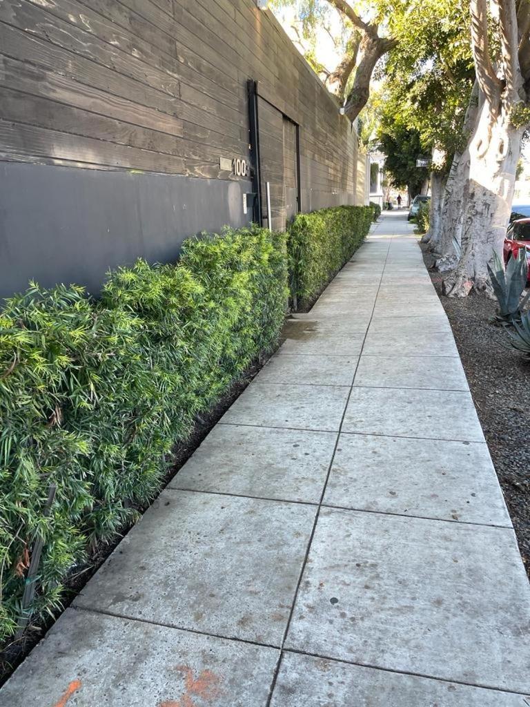 Venice Beach Studio With Large Private Patio Steps To The Beach Los Angeles Luaran gambar