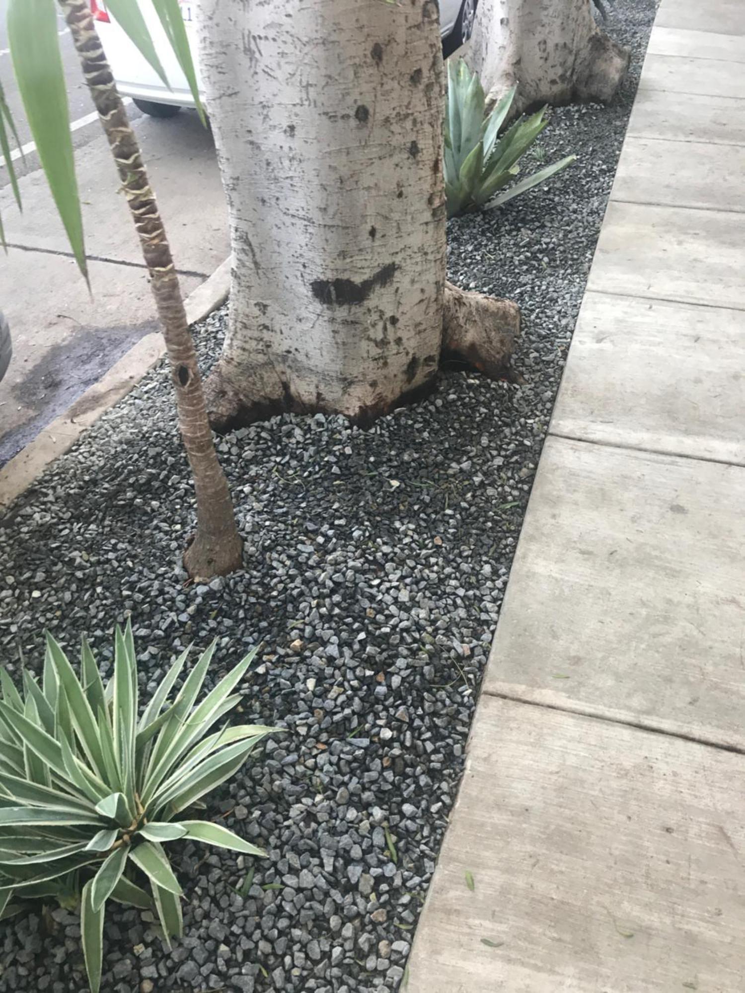 Venice Beach Studio With Large Private Patio Steps To The Beach Los Angeles Luaran gambar