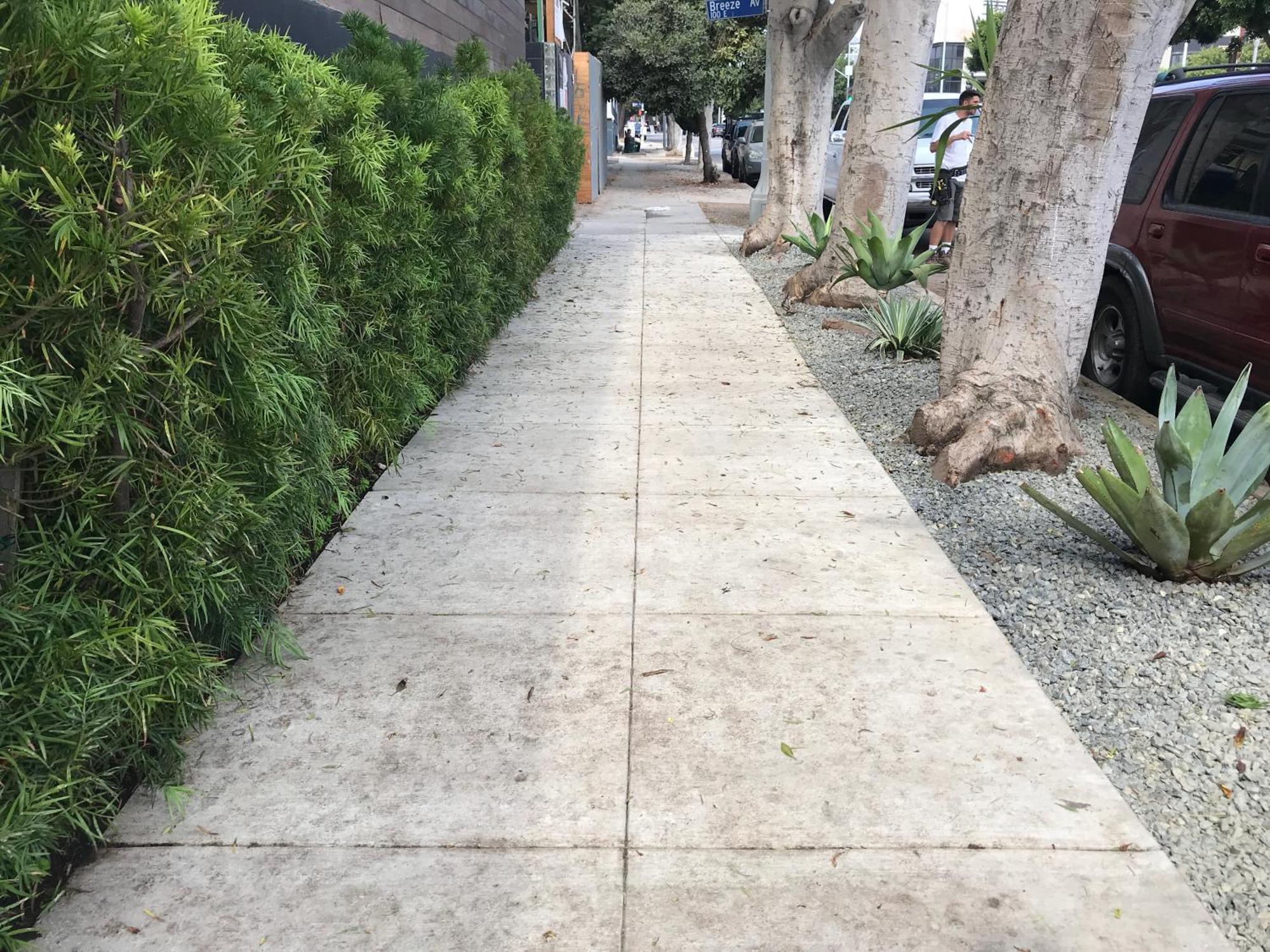 Venice Beach Studio With Large Private Patio Steps To The Beach Los Angeles Luaran gambar