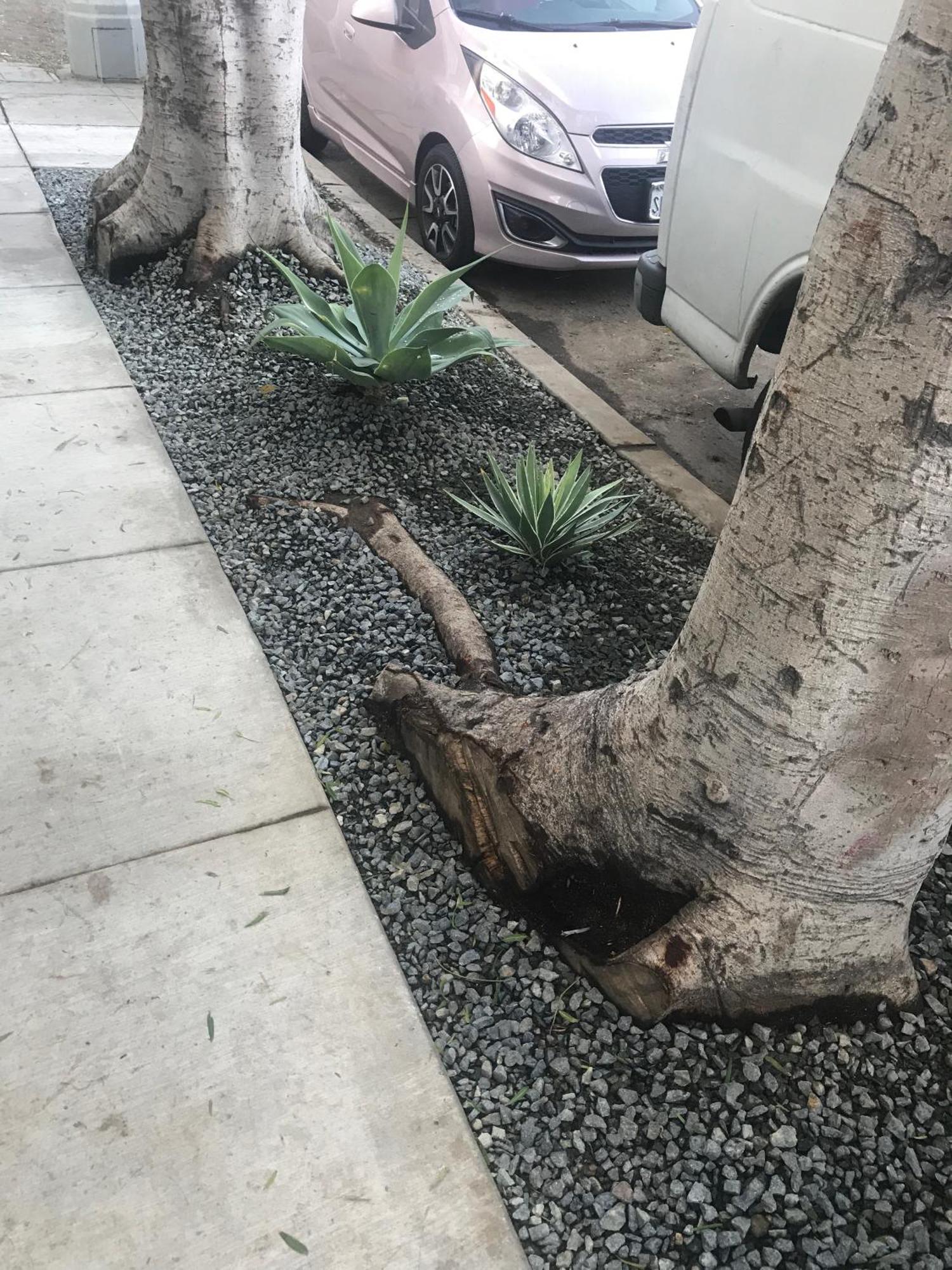 Venice Beach Studio With Large Private Patio Steps To The Beach Los Angeles Luaran gambar